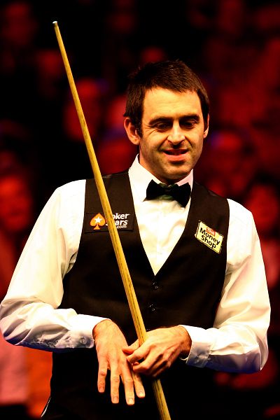 的球迷团体 的球迷团体