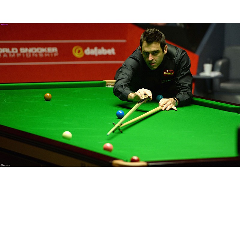 球迷关注的 球迷关注的