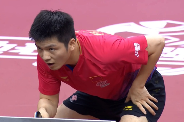 星组成豪华 星组成豪华